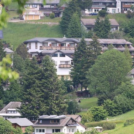 Todnauerberg Hotel Im Schwarzwald Todtnauberg Exteriör bild