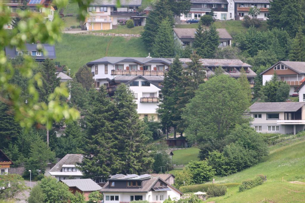 Todnauerberg Hotel Im Schwarzwald Todtnauberg Exteriör bild