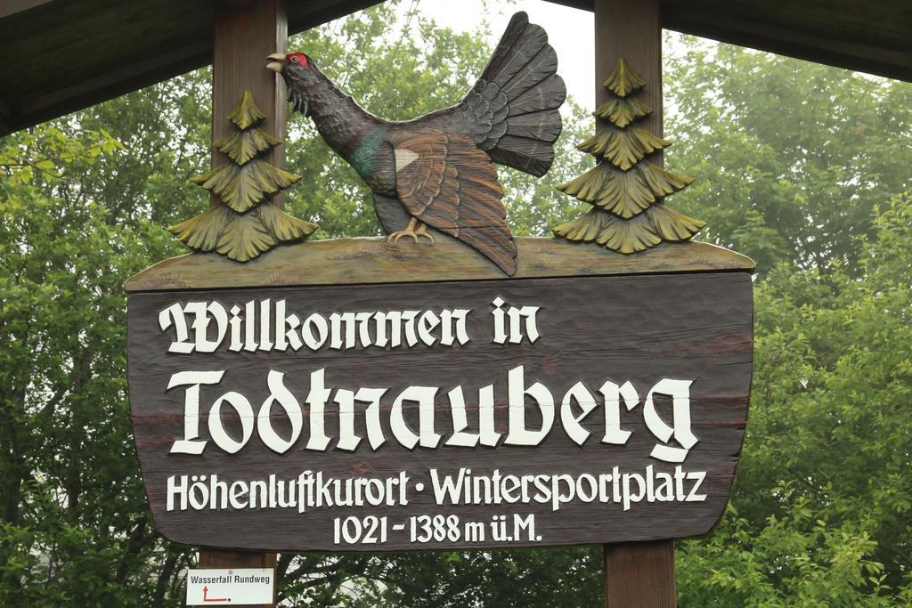 Todnauerberg Hotel Im Schwarzwald Todtnauberg Exteriör bild