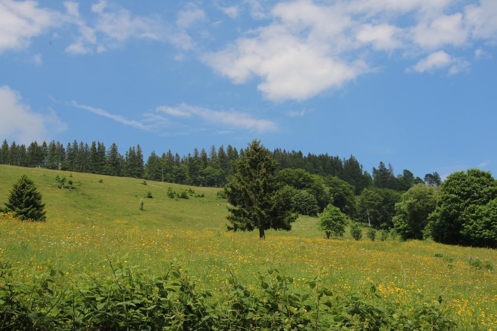 Todnauerberg Hotel Im Schwarzwald Todtnauberg Exteriör bild