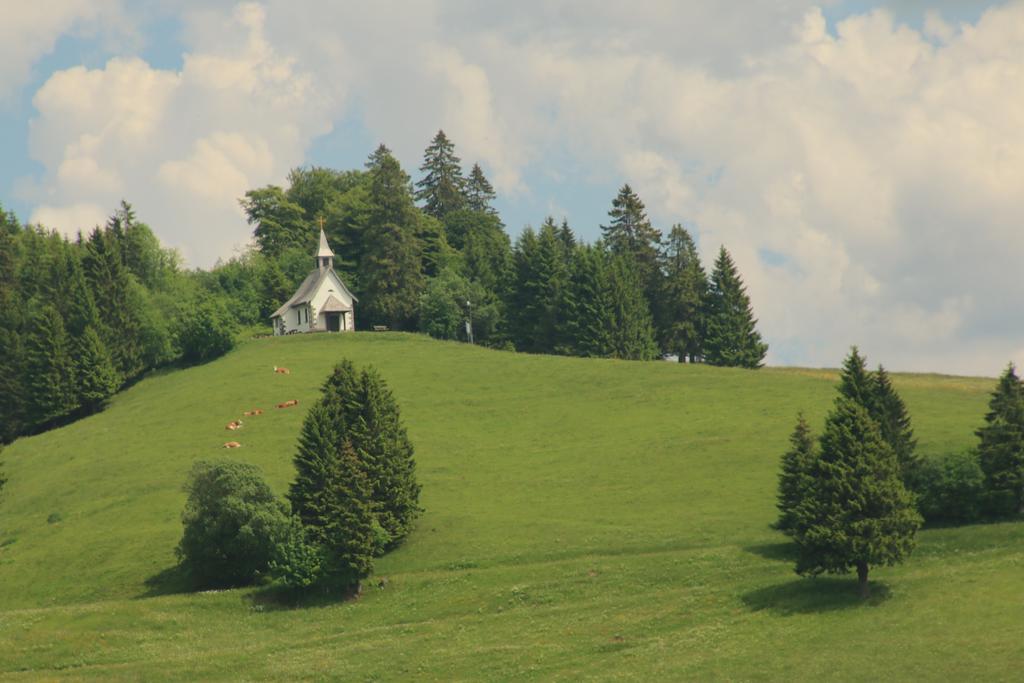 Todnauerberg Hotel Im Schwarzwald Todtnauberg Exteriör bild