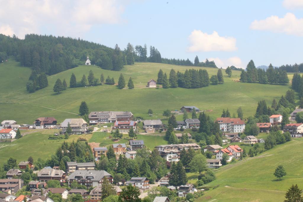 Todnauerberg Hotel Im Schwarzwald Todtnauberg Exteriör bild