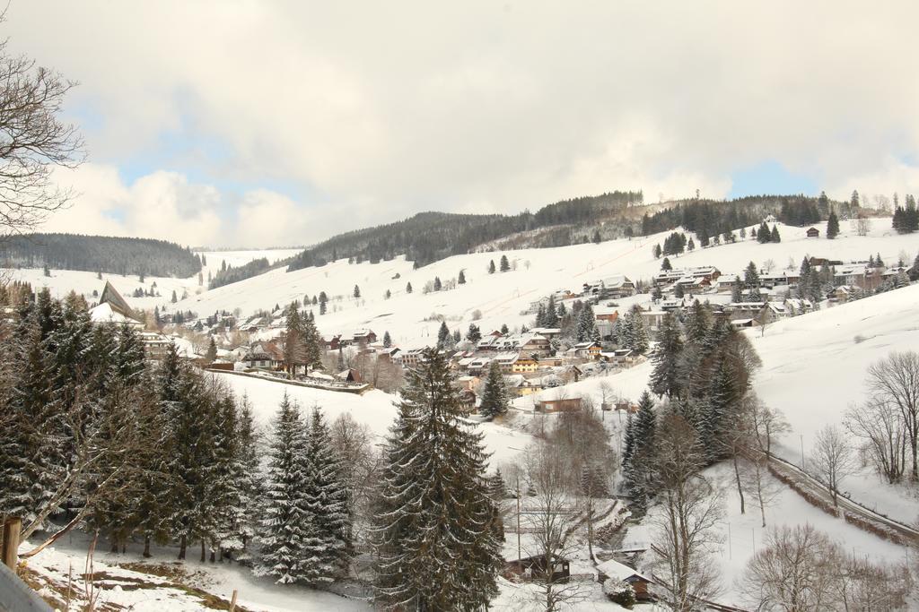 Todnauerberg Hotel Im Schwarzwald Todtnauberg Exteriör bild