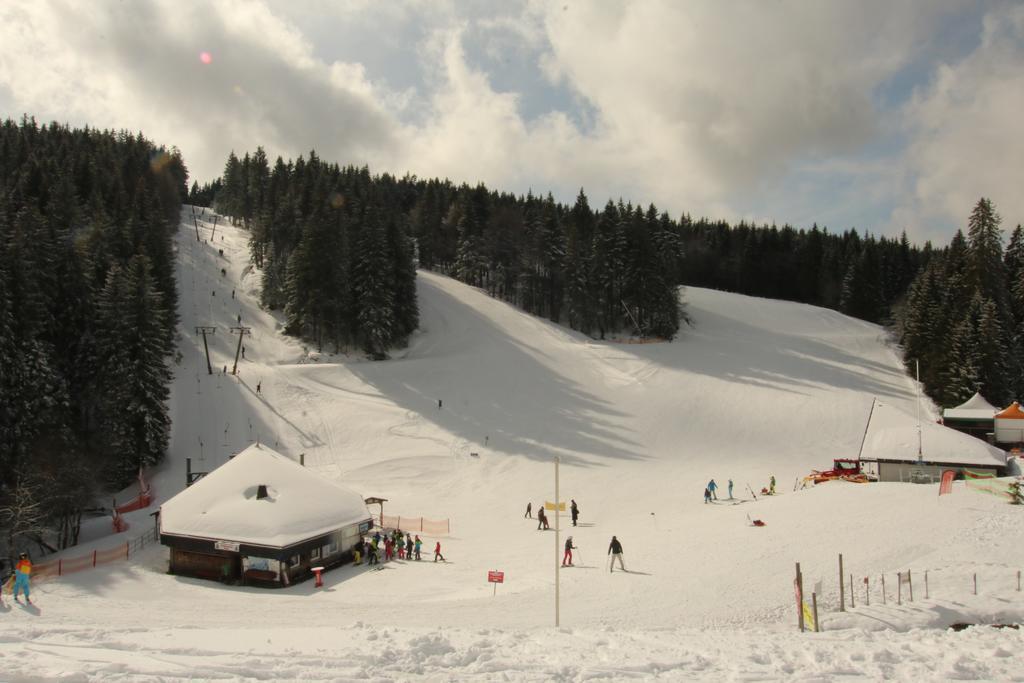 Todnauerberg Hotel Im Schwarzwald Todtnauberg Exteriör bild