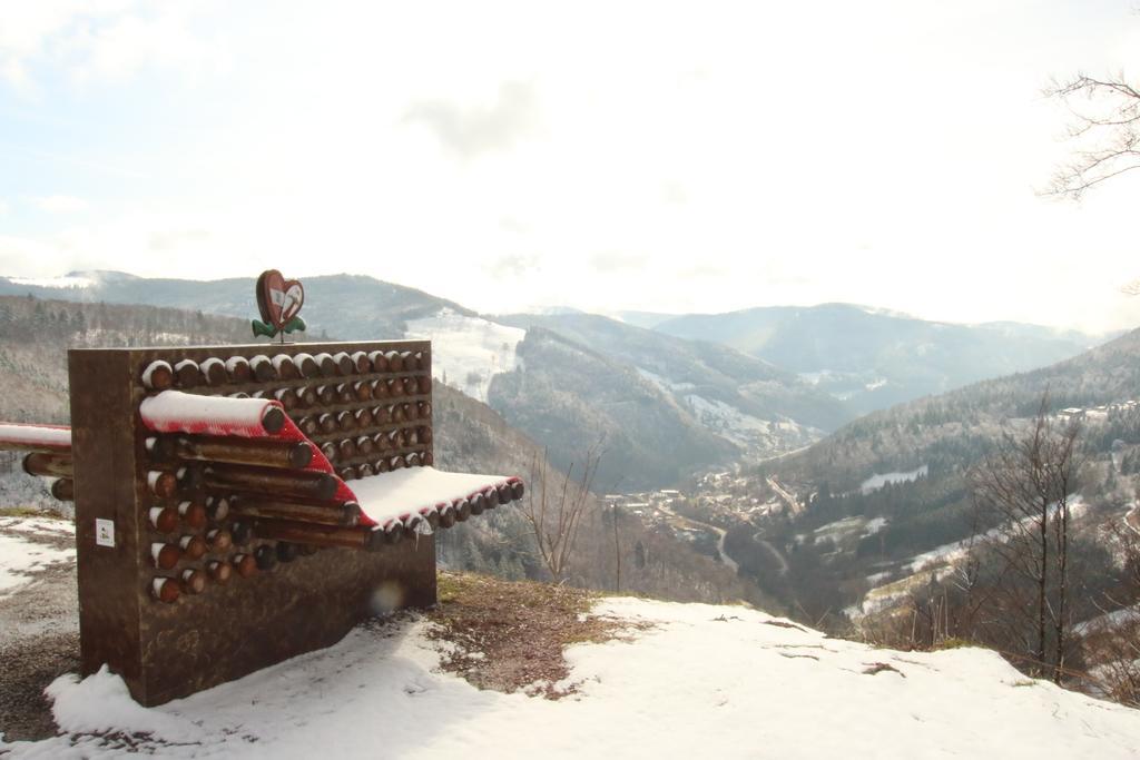 Todnauerberg Hotel Im Schwarzwald Todtnauberg Exteriör bild