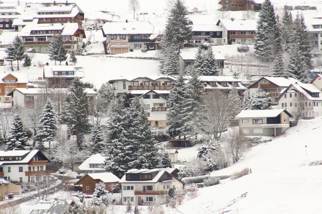 Todnauerberg Hotel Im Schwarzwald Todtnauberg Exteriör bild