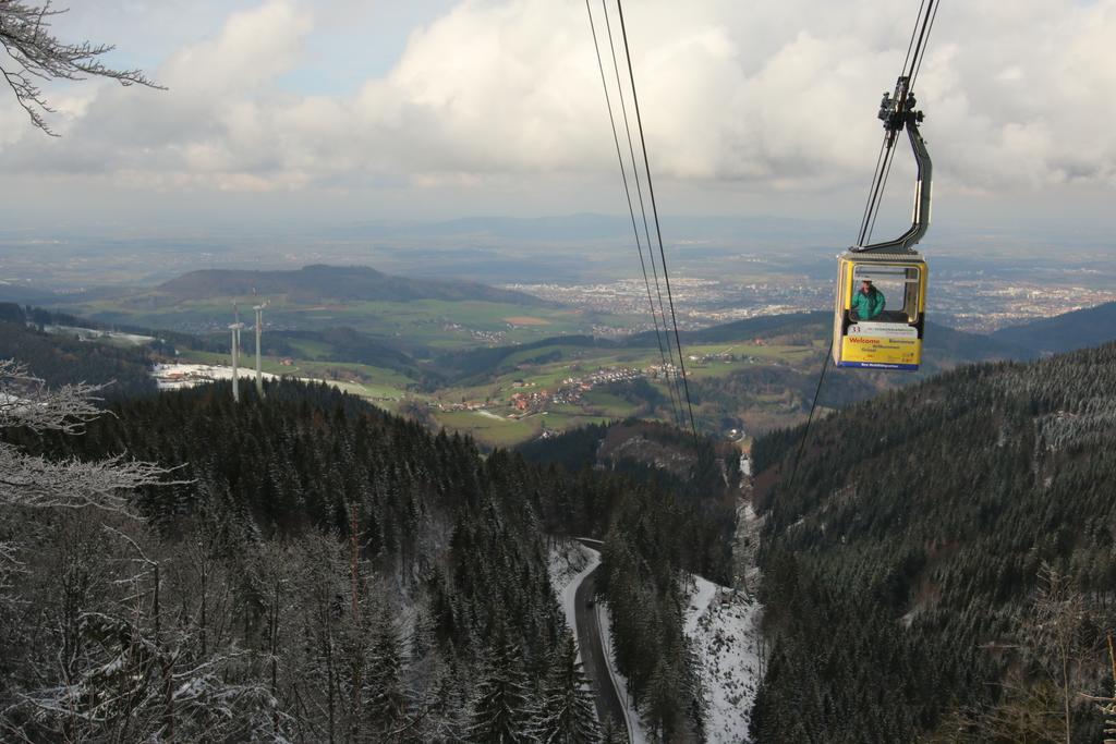 Todnauerberg Hotel Im Schwarzwald Todtnauberg Exteriör bild