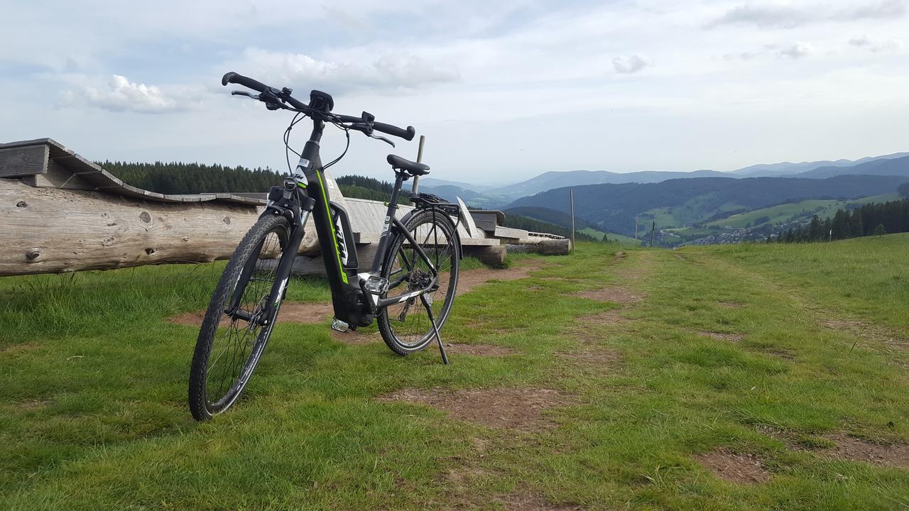 Todnauerberg Hotel Im Schwarzwald Todtnauberg Exteriör bild